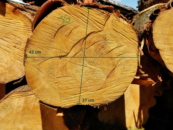 Radiata çamı Kerestelik tomruk 500 mm x 2.5 m