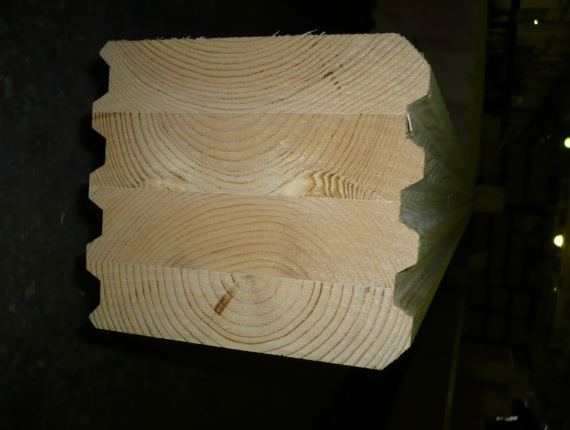 Avrupa karaçamı Profilli taramalar 185 mm x 244 mm x