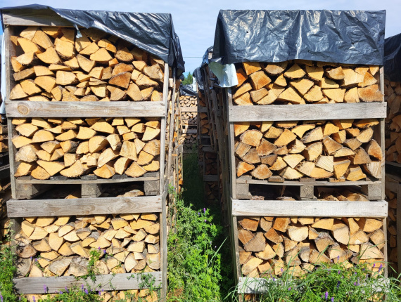 Seasoned Firewood 20 mm x 300 mm