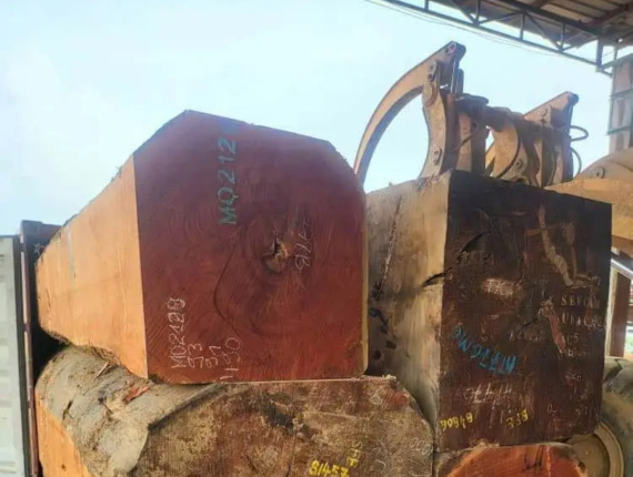 Doussie (Afzelia, Lingue, Apa, Chanfuta) Square Logs 700 mm x 700 mm x 2.2 m
