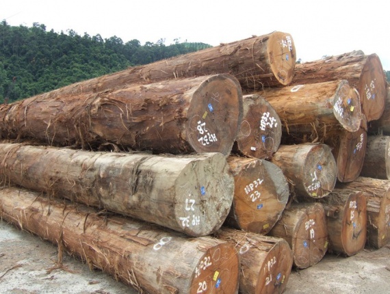 Tik Kerestelik tomruk 150 mm x 8 m