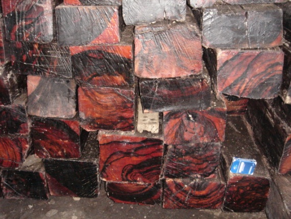 (Ebène) Kerestelik tomruk 200 mm x 15 m