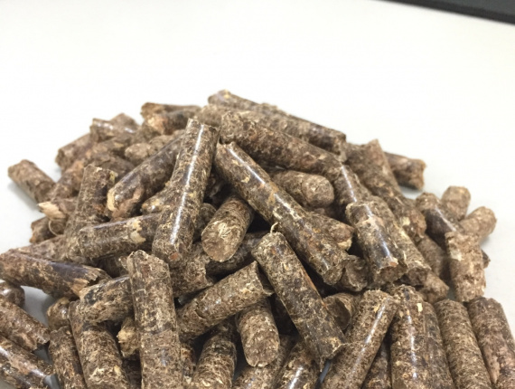 Eukaliptus Pelet kayu 6 mm x 30 mm