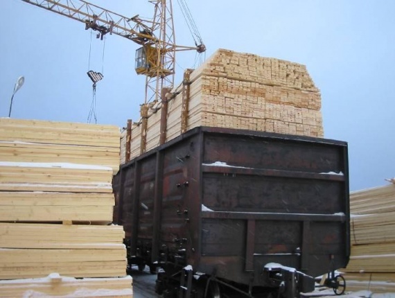 x x Pinus Siberia Kayu gergajian