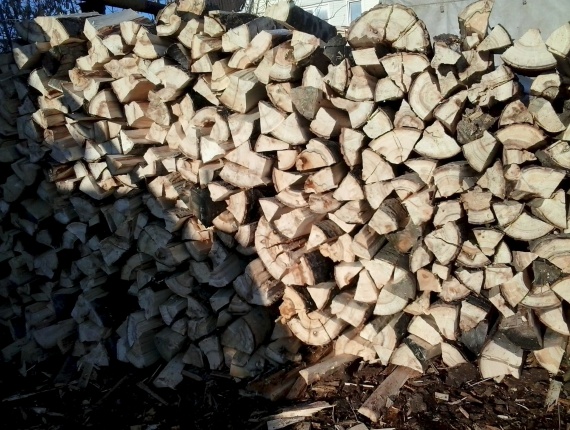 Kiln Dried Firewood 100 mm x 300 mm