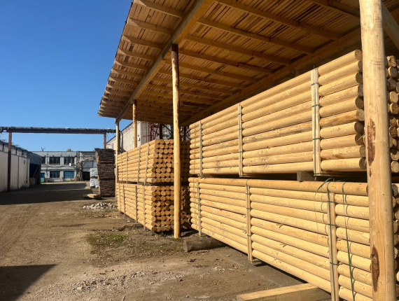 Pinus Rounded beam 160 mm x 6 m
