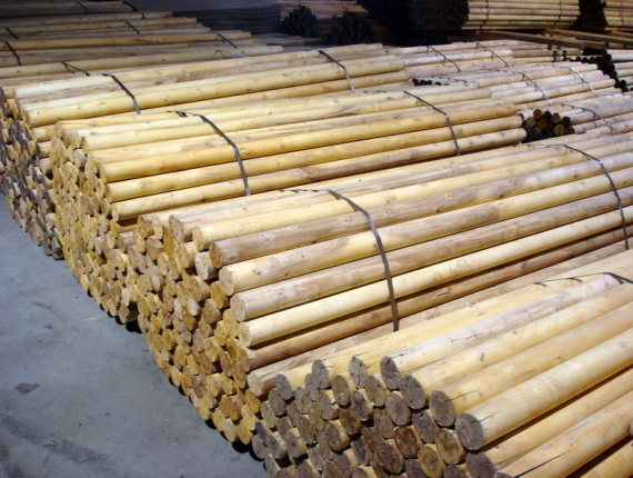 Birch perak Tongkat Bundar 80 mm x 2600 mm